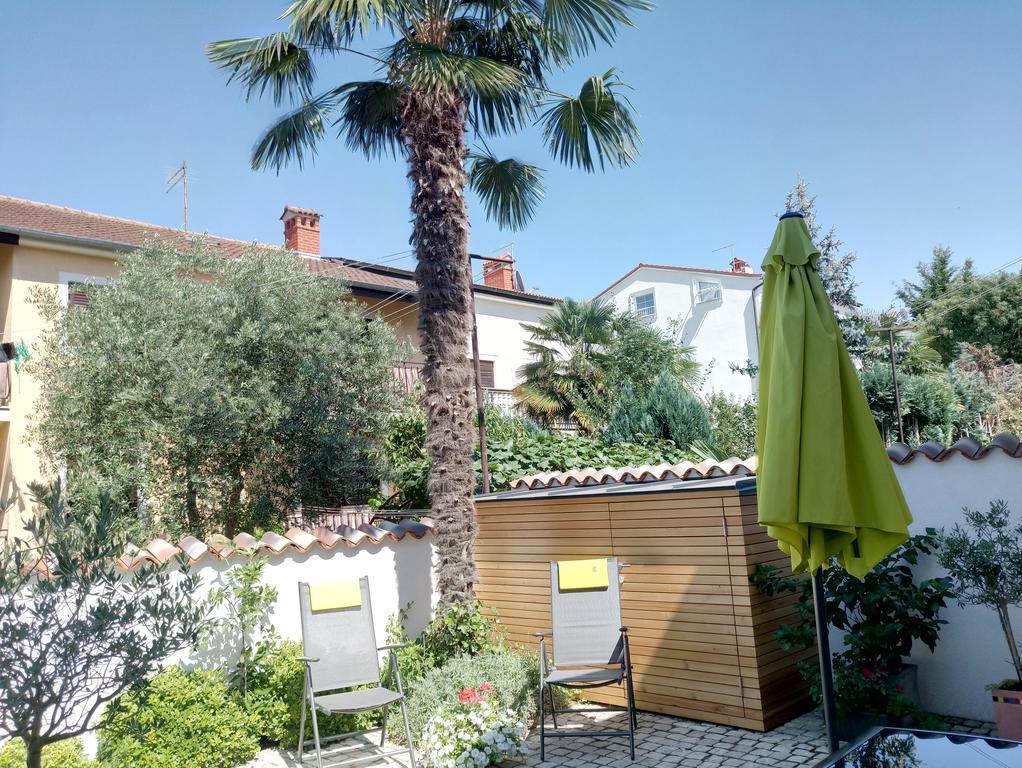 Apartmán Sarc